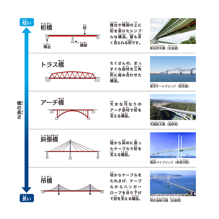 代表的な橋の種類と特徴
